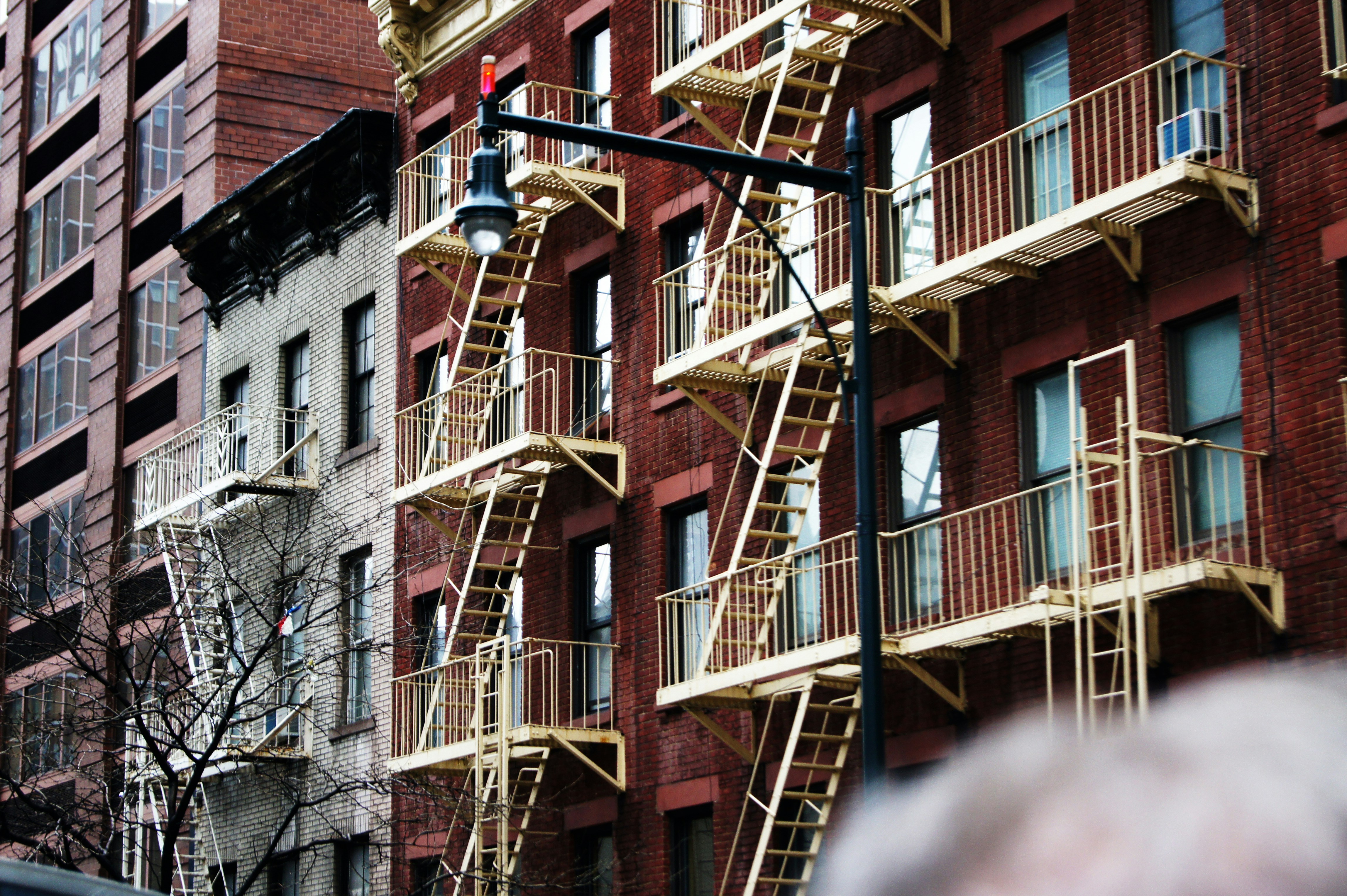 Featured image for How the Multiple Dwelling Law and Housing Maintenance Code Shape COs